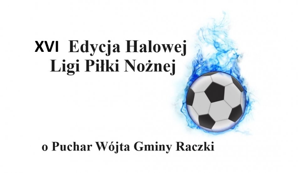 Logo XVI EHLPN